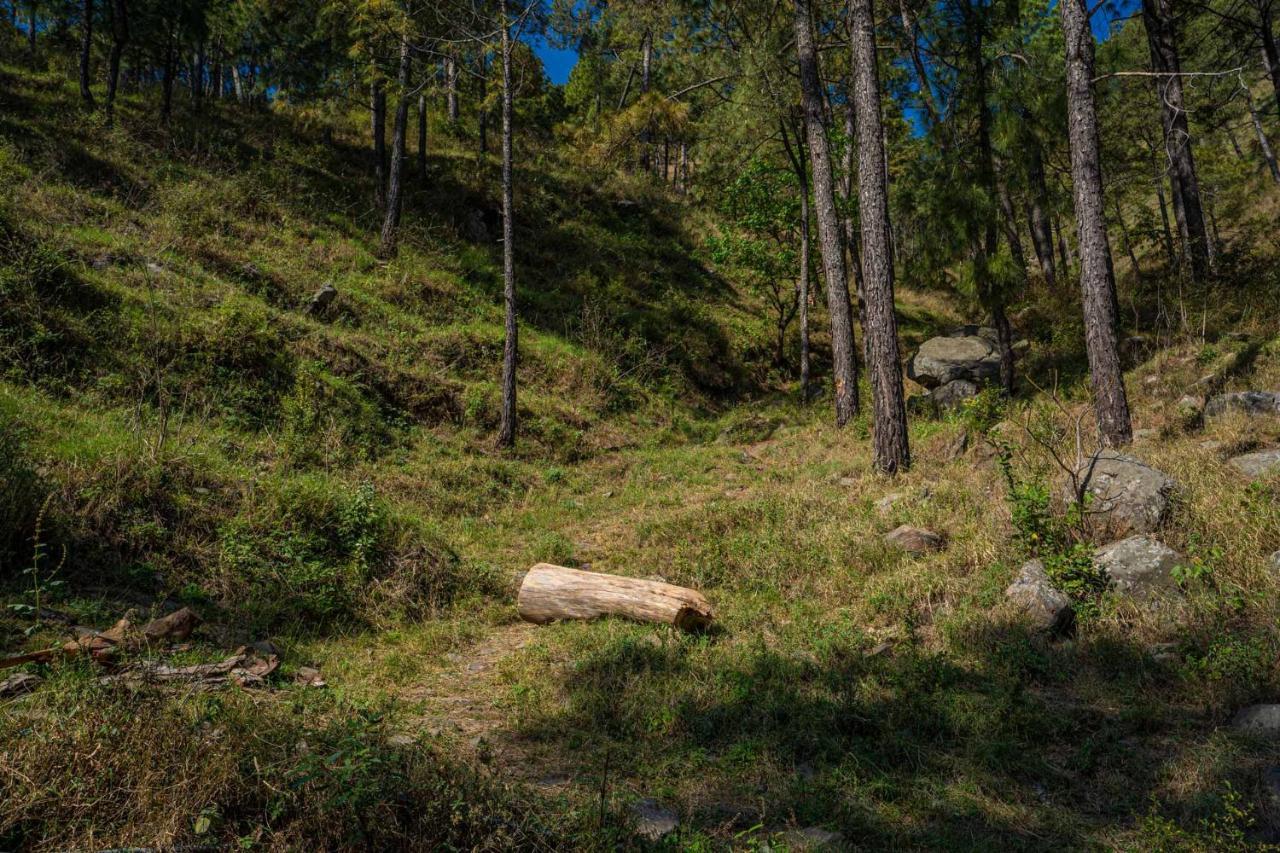 Stayvista At Floradale W Jacuzzi & Wood-Fire Pizza Kasauli Εξωτερικό φωτογραφία